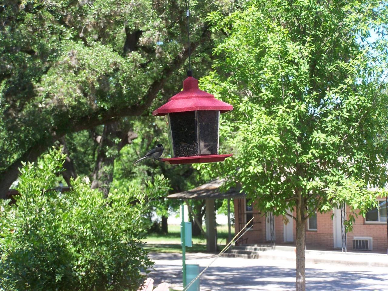 Blanco County Inn & Guesthouses Eksteriør billede
